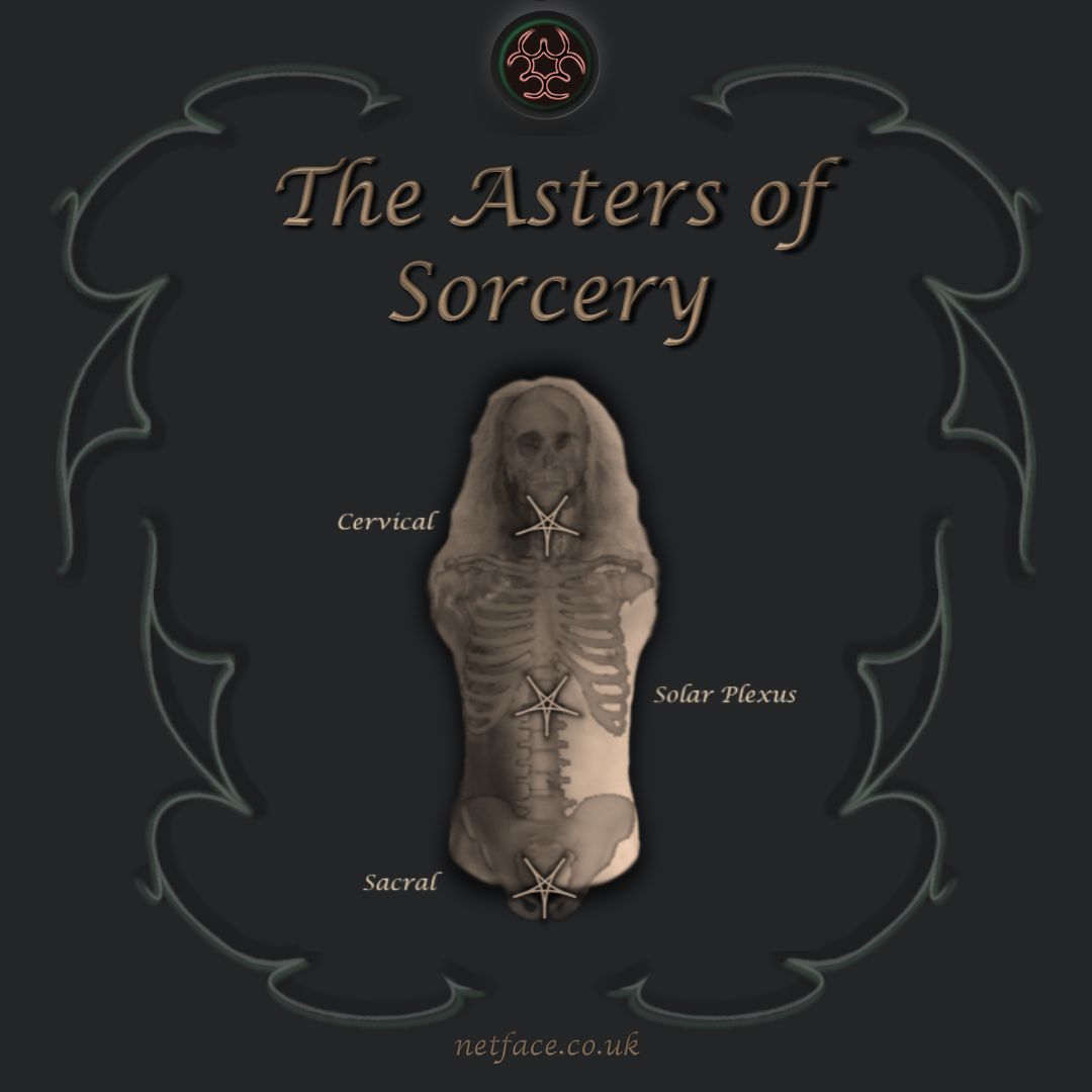 Asters of Sorcery